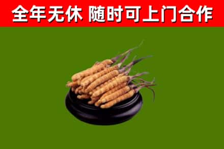 营山县烟酒回收冬虫夏草.jpg
